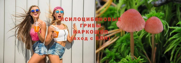 ешки Волоколамск