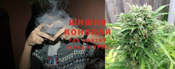 прущие грибы Верхнеуральск