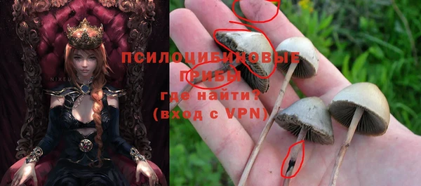 прущие грибы Верхнеуральск